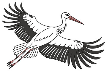white stork bird 