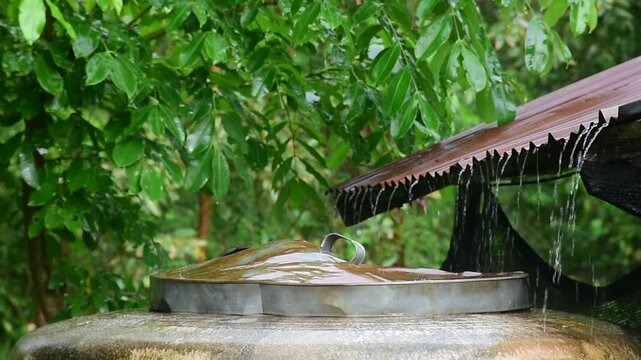 close-up, static shot of heavy rain falling from a roof and being collected, likely for rainwater harvesting.
