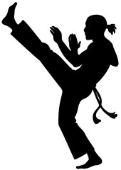 Martial Arts High Kick Silhouette Vector | Karate Taekwondo Kickboxing Illustration