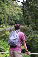 Relaxing Walk While Surrounded by Nature