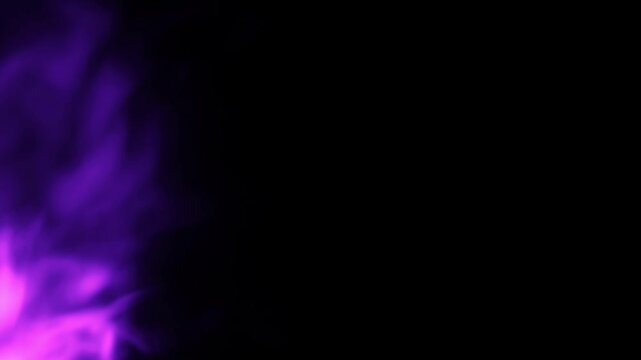 Lodernde violette Flammen vor schwarzem Hintergrund &ndash; intensive Feueranimation f&uuml;r Energie, W&auml;rme, Leidenschaft, Gefahr, Dynamik und dramatische visuelle Effekte, Kamin, Brand, Feuerwehr, brennen