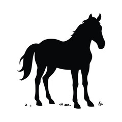 Standing Horse Silhouette on Grass, Elegant Equine Vector Design