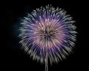 Radiant Purple  White Fireworks Bloom Against Dark Sky, Capturing Festive Celebration.
