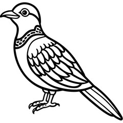 Nightjar line art vector