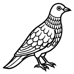 Obraz premium Nightjar line art vector