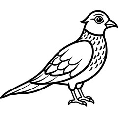 Nightjar line art vector