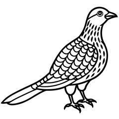 Nightjar line art vector