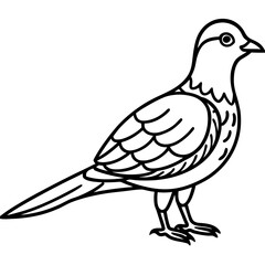 Nightjar line art vector