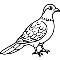 Nightjar line art vector