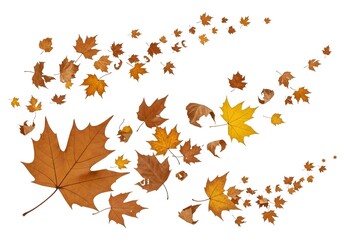 A Whirlwind of Brown, Orange, and Gold Leaves Scatters across a Pristine White Canvas, Evoking a Sense of Movement, Change, and the Beauty of Fall.