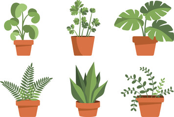 Flat vector illustration of indoor houseplants in terracotta pots, modern greenery decor, botanical home design, minimalist plant collection