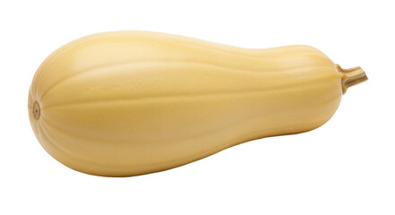 Isolated butternut squash still life showing skin surface details on seamless background