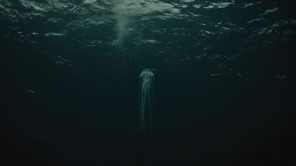 Solitary jellyfish descends in dark ocean depths, cloudy surface above; marine life, underwater photography