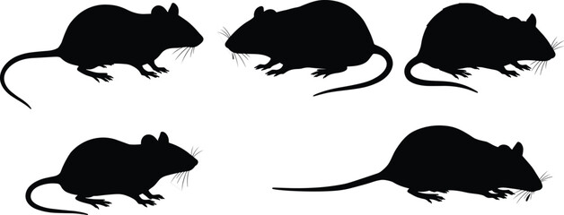 Black rat silhouette vector set, isolated rodent shapes for pest control, biology, animal icon design, wildlife identification, clean white background