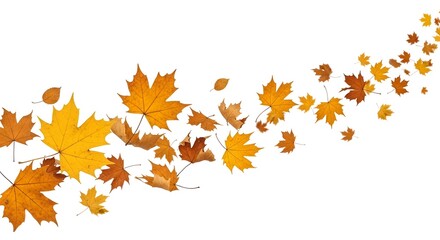 Golden, Orange, and Brown Dried Leaves Dancing Against a Crisp White Canvas, Conveying the Fleeting Beauty and Energetic Movement of the Season.
