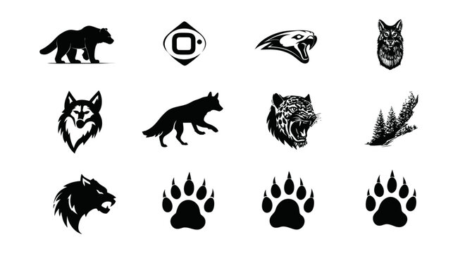 Vector wildlife collection: bear, wolf, fox, big cat, eagle silhouettes & detailed illustrations with paw prints, nature-themed designs.
