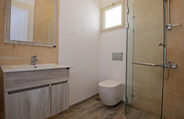 Modern bathroom in apartment with sink and shower