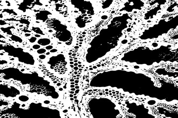Abstract Black and White Organic Grunge Texture Pattern
