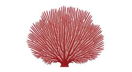 Isolated red sea fan on display, coral branch, texture, organic, botanical art in graphic design