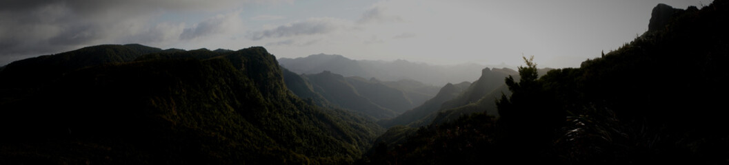 fog in the mountains