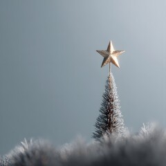 
A Simple Holiday Statement: A Lone Golden Star Atop a Miniature Tree