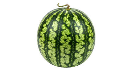 Isolated watermelon with dark green rind and light green patterns, a fresh, ripe fruit