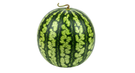 Isolated watermelon with dark green rind and light green patterns, a fresh, ripe fruit
