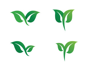 Tree leaf vector logo design, eco-friendly concept.