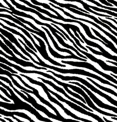 Zebra animal skin seamless pattern, abstract texture textile, black and white, 