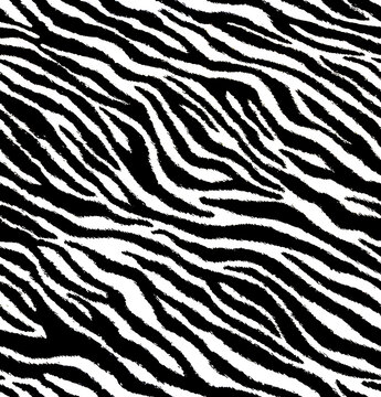 Zebra animal skin seamless pattern, abstract texture textile, black and white, 