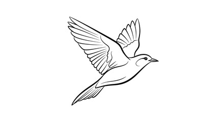 Fototapeta premium White dove of peace flying in the sky, a feathered symbol of nature and flight, available as a vector illustration or silhouette design