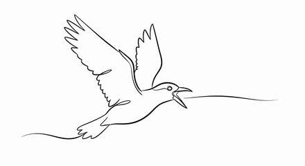 Fototapeta premium Elegant Seagull Soaring A Minimalist Facelineart Depiction of a Seagull in Flight with Open Beak, Capturing Grace and Movement