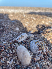 Detailed close-up of varied natural pebbles and small stones on a sunny beach, creating a beautiful texture for summer and coastal themes