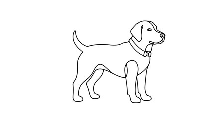 Line art illustration of a Labrador Retriever dog in a standing pose, ideal for coloring books or educational materials