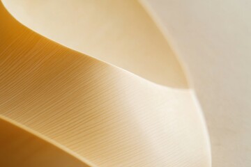 Close-up of smooth beige ribbon texture, soft undulating curves, elegant design
