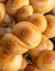 Clustered, pale yellow mushrooms