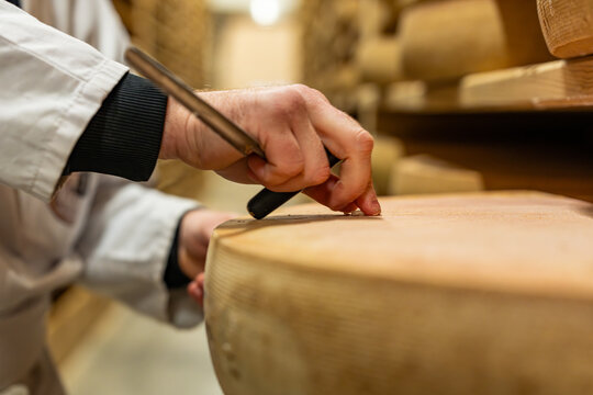 Main coupant un morceau de fromage affin&eacute; dans une cave &agrave; fromage traditionnelle, illustrant un geste artisanal et la d&eacute;gustation d&rsquo;un produit laitier dans un environnement de maturation.