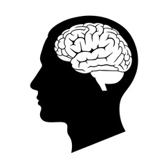 Obraz premium Human brain inside head silhouette representing intelligence memory and cognitive function for medical and educational purposes and scientific research on transparent background