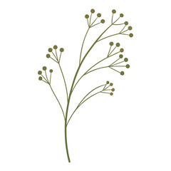 white flowers on white background