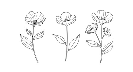 Obraz premium A simple drawing of three delicate flowers with dotted outlines.