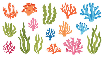 Fototapeta premium Colorful collection of various underwater coral and seaweed plants