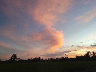 Obraz premium sunset over the field