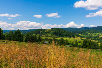 A wide meadow leads to soft rolling fields and villages at the foot of forested hills. White clouds drift across a blue sky, creating a sense of space, lightness and healthy rural living in summer.