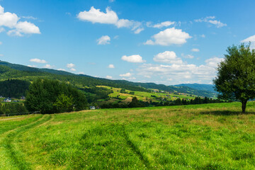 Golden grasses in the foreground contrast with green forested hills and fields beyond. A warm summer countryside view capturing the harmony of natural colors, rural peace and agricultural landscapes.