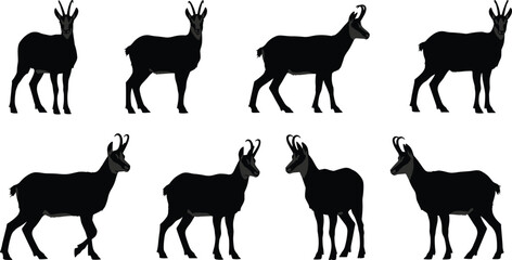 Goat silhouette, ibex poses, wild animal vector, mountain goat illustration, horned creature, wildlife clipart, nature design, walking goat