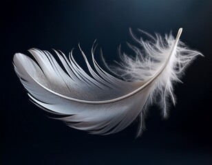 Obraz premium floating white feather with dark background