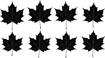 Obraz premium Maple leaf silhouette, black leaf icon, autumn foliage design, botanical vector, nature pattern, symmetrical leaves, seasonal illustration, isolated graphic
