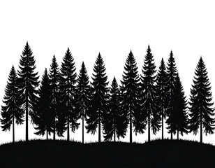 Obraz premium Silhouette of a pine forest, natural landscape and outdoor wilderness isolated on transparent background.