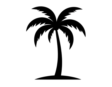 Silhouette of a palm tree, tropical nature and summer vacation concept isolated on transparent background.