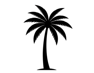 Palm tree silhouette, beach holiday and exotic botanical design isolated on transparent background.